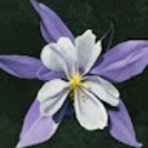 Meet your Posher, Carlee